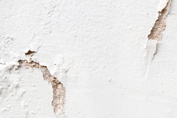 Light Gray Stucco Wall Texture. Abstract Background